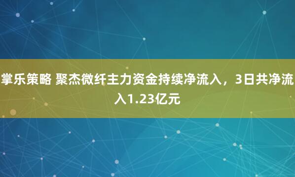 掌乐策略 聚杰微纤主力资金持续净流入，3日共净流入1.23亿元